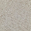 Baumwolle Blumen Beige weiss